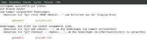 Abbildung 3: Zwei Versionen einer Datei und mögliche Anweisungen, um mit diesen zu arbeiten.